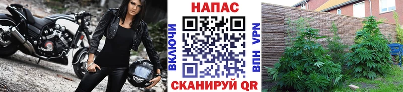 Купить Туринск Метамфетамин  Амфетамин  omg сайт  Конопля  ГАШИШ  МЕФ 