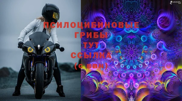 тгк Абинск