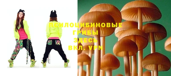 тгк Абинск