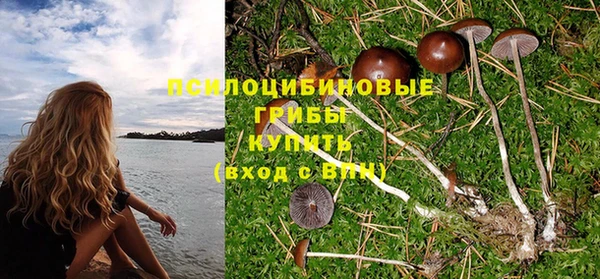 дживик Абдулино